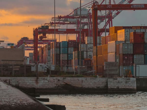 Sri Lanka has not made the transition to high-tech exports